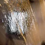公寓 La Casetta 奥斯塔